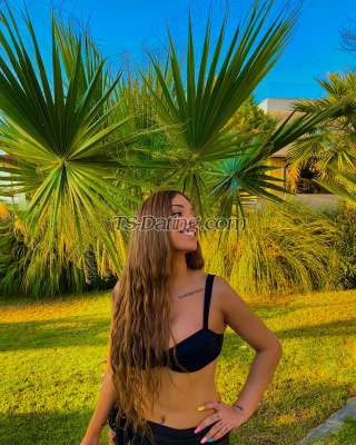 trans girl ilaydabenova 6033038