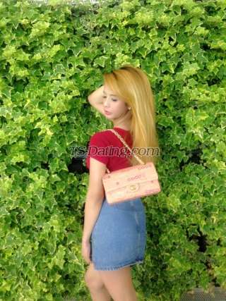 trans girl irishmememe 4438991 trans girl irishmememe 4438991