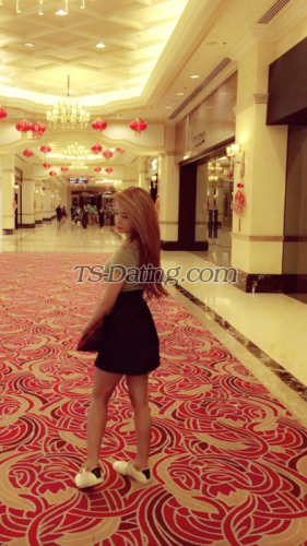 trans girl irishmememe 4704536 trans girl irishmememe 4704536