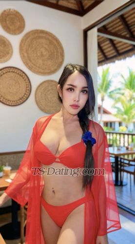 trans girl JELITACaroli 6638582