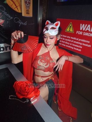 trans girl JJThailadyboy 2195624 trans girl JJThailadyboy 2195624