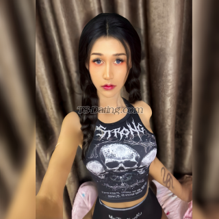 trans girl Jade3243 5276171 trans girl Jade3243 5276171