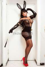 Jady Latina Jady cubana Jady cubana Milano Transex LA BOMBA PIÙ SEXY 
POTENTE cubana piu dotata 
arrivata !! 
VERAMENTE dotatta calda foto reale
100% niente fregatura la mia promessa: entrare nella
relativa mente, portare a termine e trasformare i relativi
sogni e desideri in realtà. 1,80 di altezza, 25 cm
realissimiiiiii molto molto calda e soprattutto
paziente..
Ti apro gia nuda com cazzo gia in
tiro…
💥Bellissima porcona insuperabile...
trasgressiva cavalla... tutta da montare... molto vogliosa e
sempre in tiro!!!!sensuale ... 
Femminile... aperta
a tutto!! con un bastone di fuoco sempre carico e pieno di
panna💥
ho veramente un cazzo groso grandi ti
apro la porta com cazzo fuori cosi inizia a suchiare
per bene il mio bastone 
foto reale 100%
🔥sono piu attiva (ti lo faccio sentire per bene
fino in fondo).... anche passiva (una vera femmina dolce e
delicata)....
disponibile anche per festina💥💥
🤩
per uomo 
e coppie
