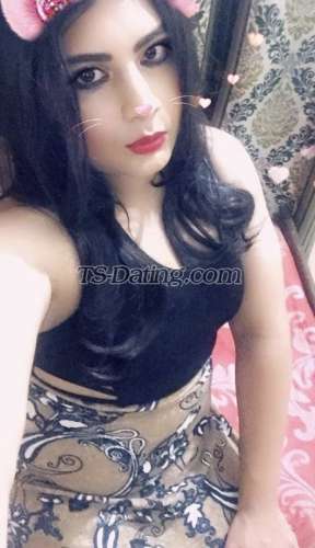 trans girl Jasmine18 7652542 trans girl Jasmine18 7652542