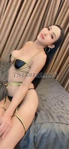 trans girl JayleTS 8769916 trans girl JayleTS 8769916