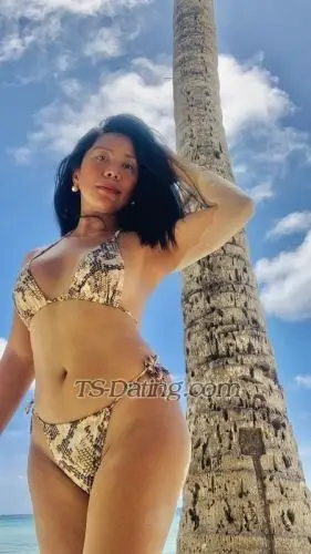 Shemale JaymeeFox28 4318438 Shemale JaymeeFox28 4318438