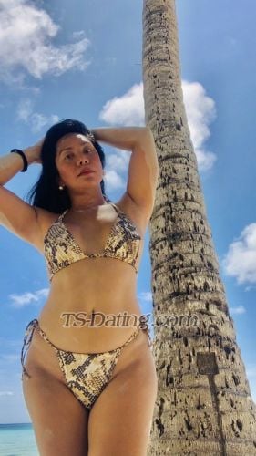 trans girl JaymeeFox28 4318468 trans girl JaymeeFox28 4318468
