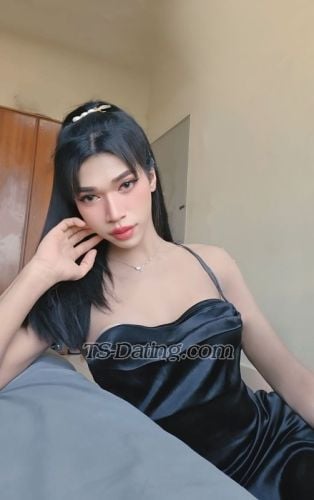 trans girl Jeda254214 2240261