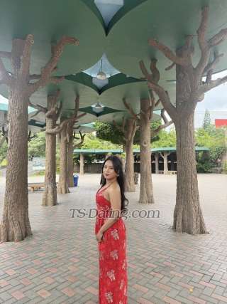 trans girl Jenelia 2749667 trans girl Jenelia 2749667