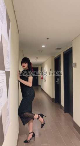 trans girl Jenifer14 7991673 trans girl Jenifer14 7991673