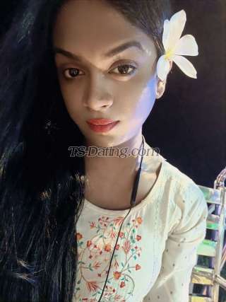 trans girl Jerrydebnath 2537575 trans girl Jerrydebnath 2537575