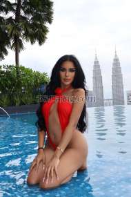 Jessica jessi Phuket Transex VVIP LADY BOY. AMIRAH 23 YEARS OLD HOT LADY BOY  TOP MODEL THAILAND 💃🏻 BIG ASS WITH HARD DICK SEXY BODY AND BEAUTIFUL FACE  ❤️‍🔥TOP AND BOTTOM AVAILABLE  ❤️‍🔥BEAUTIFUL SAME PICTURE 100%   Call me Amirah VVIP I’m top model 🔥I’m  Thailand I am number one top and bottom as you wish🍆 💋 I have an incredibly beautiful face🧚🏻‍♀️ You will fall in love with my eyes👁️💋 I can take on any role if you want, just tell me 🙏🏻 
🍭I have a good body 7 inches cock medium i have a good personality, well mannered friendly kind smiley and educated person. clean hygienic, and fully functional. I can be very amazing top and super sweet bottom and I have sexy body sexy ass and beautiful face smooth soft skin do good services can do everything and also big cum🍆🍆🍌🍌🍑🍑💦
❌ No Breakback
❌ No meet couple 
❌ No drugs 
💫let's make our time enjoying each other😊  choose me you will never disappoint 😋
😈So don't waste your time and visit me  IG aamirah02