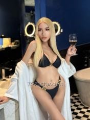Jessicaxworld Bangkok Transex Hello, you can call me Jessica.
IM BIG COCK 7” ready to give you full pleasure and that we can cum together!!

I can give you an experience that you cannot find anywhere else. Whether if you are first timer or have little experience, I can guide you from start to finish. I can be hard top and a sweet bottom, and I can also be gentle or rough in bed.

I offer a range of services including top, bottom, oral, hand job, relaxing massage, passionate kisses and foreplay. I like getting my nipples sucked and my 7 inches cock sucked. All the above services are delivered with passion, experience, luxury, care, and upmost attention.

 I only mainly focus on satisfying my clients and fulfilling their hottest fantasy. So, if you want to have an unforgettable and passionate encounter with a high class and stunning trans woman, then you just need to contact me through WhatsApp, WeChat, Telegram or whatever through the website

WhatsApp: ‎⁨‪+61434621862‬⁩

Telegram: Jessicaxworld

Wechat: Jessicaxworld365

instagram: Jessicalunex
* Don’t work with India *
Only serious clients are considered. I guarantee you it will be the most unique and unforgettable experience to you and for me as well