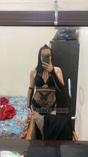 trans girl Jessilbth 7052644 trans girl Jessilbth 7052644