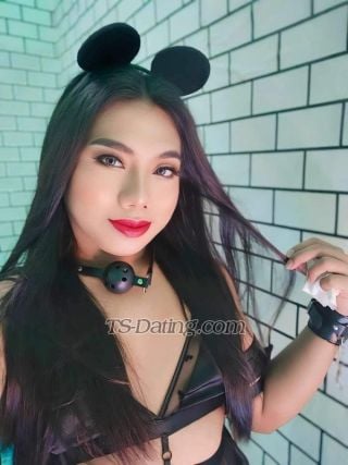 trans girl JheccaDoAll 6613495