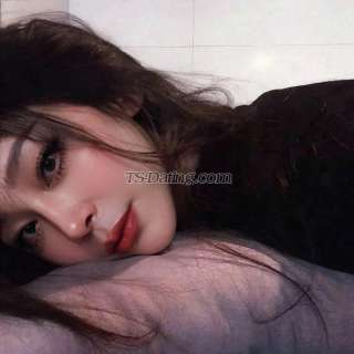 trans girl jennifermay 8205198 trans girl jennifermay 8205198