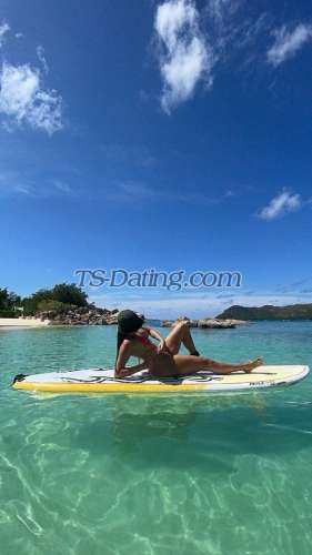 trans girl Kandyxoxo 5570372 trans girl Kandyxoxo 5570372