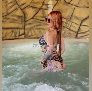trans girl Karlak 7247294 trans girl Karlak 7247294