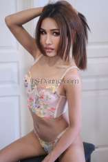 Kartoon Kuala Lumpur Transex Hello I’m cartoon Thailand big dick 6inch can cum 💦💦 ⭕️ 2️⃣ Day last ✈️
🟢 On pm 24hrs 
👅 Good suck 
😎 chilling 
🍆 Vers Top
💦 Cum shot 

 
I still young 26 years old and full of verve and passion in my work, you will notice immediately. 
My photos are 100% me and only you will find me like that. 
I'm absolutely professional and that's how I behave. 

Please no inquiry about GV without protection !! 
Only safe sex and only real prices. 
I’m slim firm body, hight 171cm. weigh 55kg.  In my free time I have exhilarating hobbies to keep myself healthy and fit. It will be our secret only. 

I'm looking forward to it you top trans
🥰 clean and safe 🥰 
👉 Service about 
💋Anal sex 
💋69 
💋top & bottom (have poppers)
💋Erotic massage 
💋kissing 💋 
💋Cum in Boobs 
💋Hang out
😋😋😋 Have popper 👃💪
 🔈🔈🔈🔈Now have proper already come to find me again ‼️‼️‼️‼️‼️
Come to visit my hole, i’m waiting you!!
Can send message to me it is contact me 👇

WhatsApp: +66810364166 
Telegram: ↕️
Wechat : Hngscham
IG : k_pichamon
