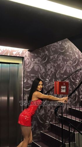 trans girl Kassyxx 3779405 trans girl Kassyxx 3779405