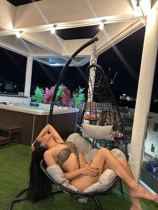 trans girl Kathrina24 6463041 trans girl Kathrina24 6463041