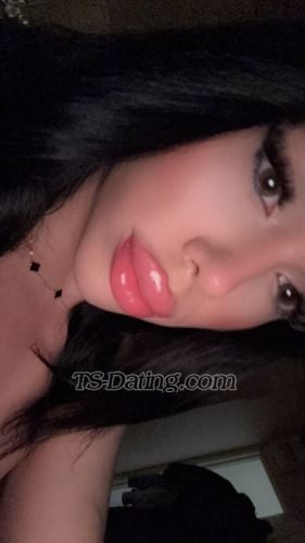 trans girl KatiCc69 8637589 trans girl KatiCc69 8637589