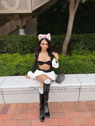 trans girl Katrinacat 2301256 trans girl Katrinacat 2301256