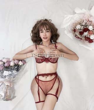 trans girl Katrinacat 2992010 trans girl Katrinacat 2992010