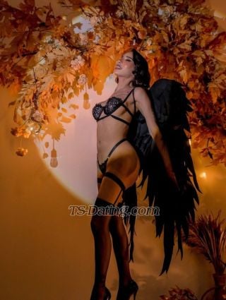 trans girl Katrinacat 3082924 trans girl Katrinacat 3082924
