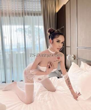 trans girl Katrinacat 3096432 trans girl Katrinacat 3096432