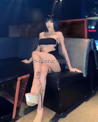 trans girl Katrinacat 4971092 trans girl Katrinacat 4971092