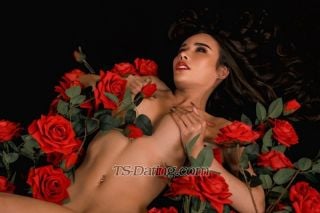 trans girl Katrinacat 8011881 trans girl Katrinacat 8011881