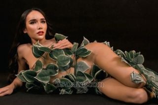 trans girl Katrinacat 8212977