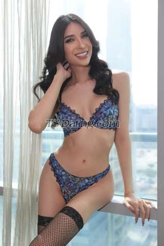 trans girl Katua 2348148 trans girl Katua 2348148