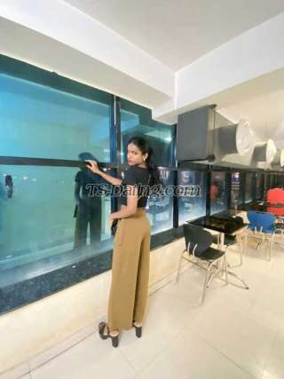 trans girl KayleeR 3377822