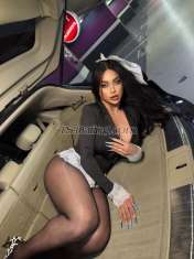 Kay Kay rawy Kay rawy Kaslik Transex Hello 
It’s kay
22y/o
Kaslik area
Place available 
24/7
All services available