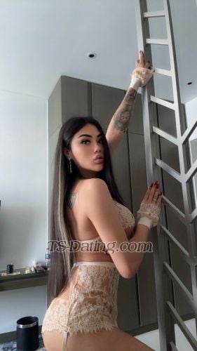 trans girl KhannaTS 7240474 trans girl KhannaTS 7240474