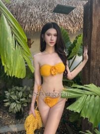 Khawoat Taipei Transex “Hi, my name is Ping Ping. I’m 22 years old, 180 cm
tall, and I haven’t had breast augmentation
surgery.”WhatsApp: 0933061673Line Id:
0933061673https://line.me/ti/p/rJ_b8G6dP3X :
@canday_89WeChat: Kxxwoat24I am both
✅-Party animal 🎆🎇-Girlfriend experience
👩‍❤️‍👨-Friendly and kind-Webcam show
📷-Golden shower 🚿-Fetish clothing
👙-Sex toys 👠-Transgender clientsYou can
tell me your preferences. I look like a woman and have an
Asian face.Hope we have fun and a great time together
💗💗💗