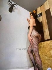 Khimmy  Khimmy30 Khimmy30 Orchard Transex TS Khimmy – Dominante. Deseable y traviesa. Singapur | 1,68 m, curvas | Compañera TS de élite | Amable Soy TS Khimmy, una presencia dulce y feroz con un toque suave y seductor. Puedo ser salvaje como el infierno y dulce como los caramelos. Mi oferta : • 🔥BDSM apto para fetiches: juegos de rol, adoración de pies, provocación y negación, juego con correas y más • Cenas elegantes • Llamadas discretas a domicilio y dentro del local Solo atiendo a clientes respetuosos y de mente abierta. Dime qué te apetece: dominación sensual y lenta o algo un poco salvaje. Cumplamos tu fantasía 😋