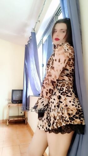 trans girl Khwahis 3410449 trans girl Khwahis 3410449