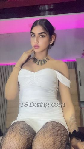 trans girl Kiara25 3261999