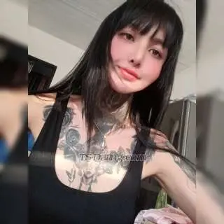 Shemale Kiki4you 9463675 Shemale Kiki4you 9463675
