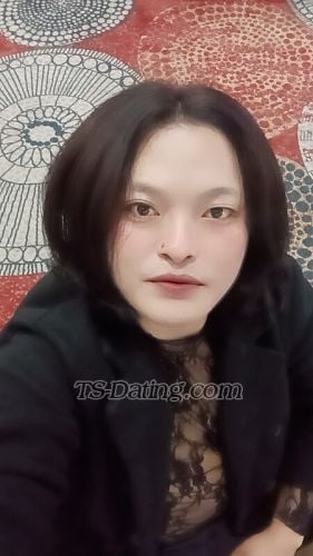 trans girl Kim26 8510669 trans girl Kim26 8510669
