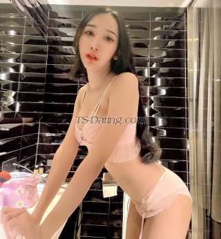 trans girl Kitty21 0227735 trans girl Kitty21 0227735