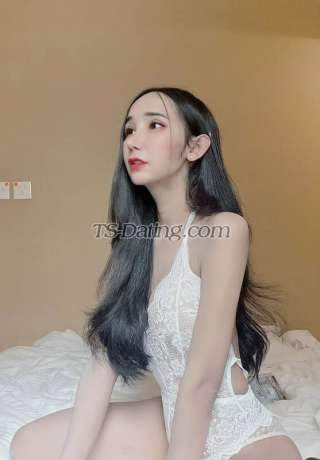 trans girl Kitty21 2138251 trans girl Kitty21 2138251