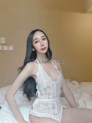 trans girl Kitty21 3661220 trans girl Kitty21 3661220