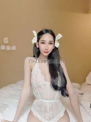 trans girl Kitty21 3690039 trans girl Kitty21 3690039