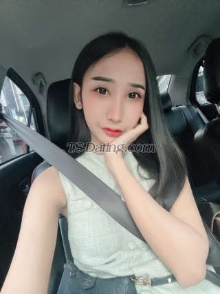 trans girl Kitty21 7332849 trans girl Kitty21 7332849