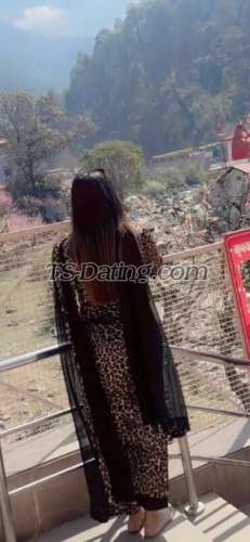 trans girl Kitty69 0475556 trans girl Kitty69 0475556