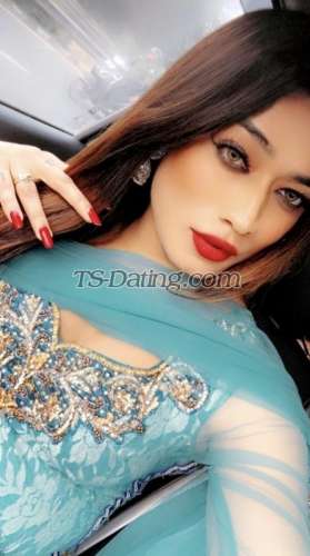 trans girl Kitty69 3731304 trans girl Kitty69 3731304